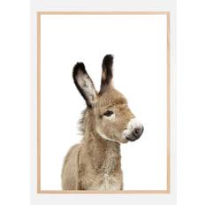 Baby Donkey Plakat (21x29.7 cm (A4))