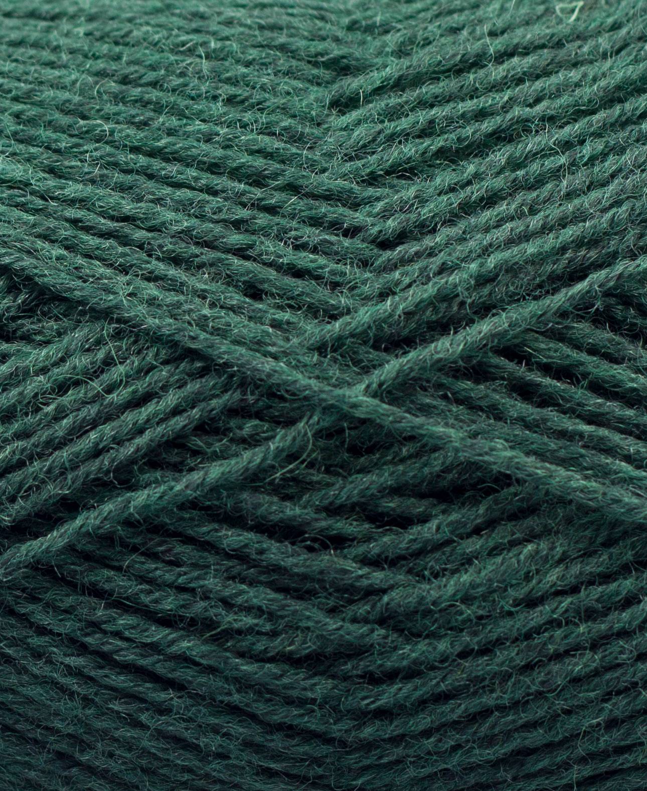 Junior Raggi | 68419 Forest Green