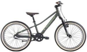 Crescent 20″ Narre