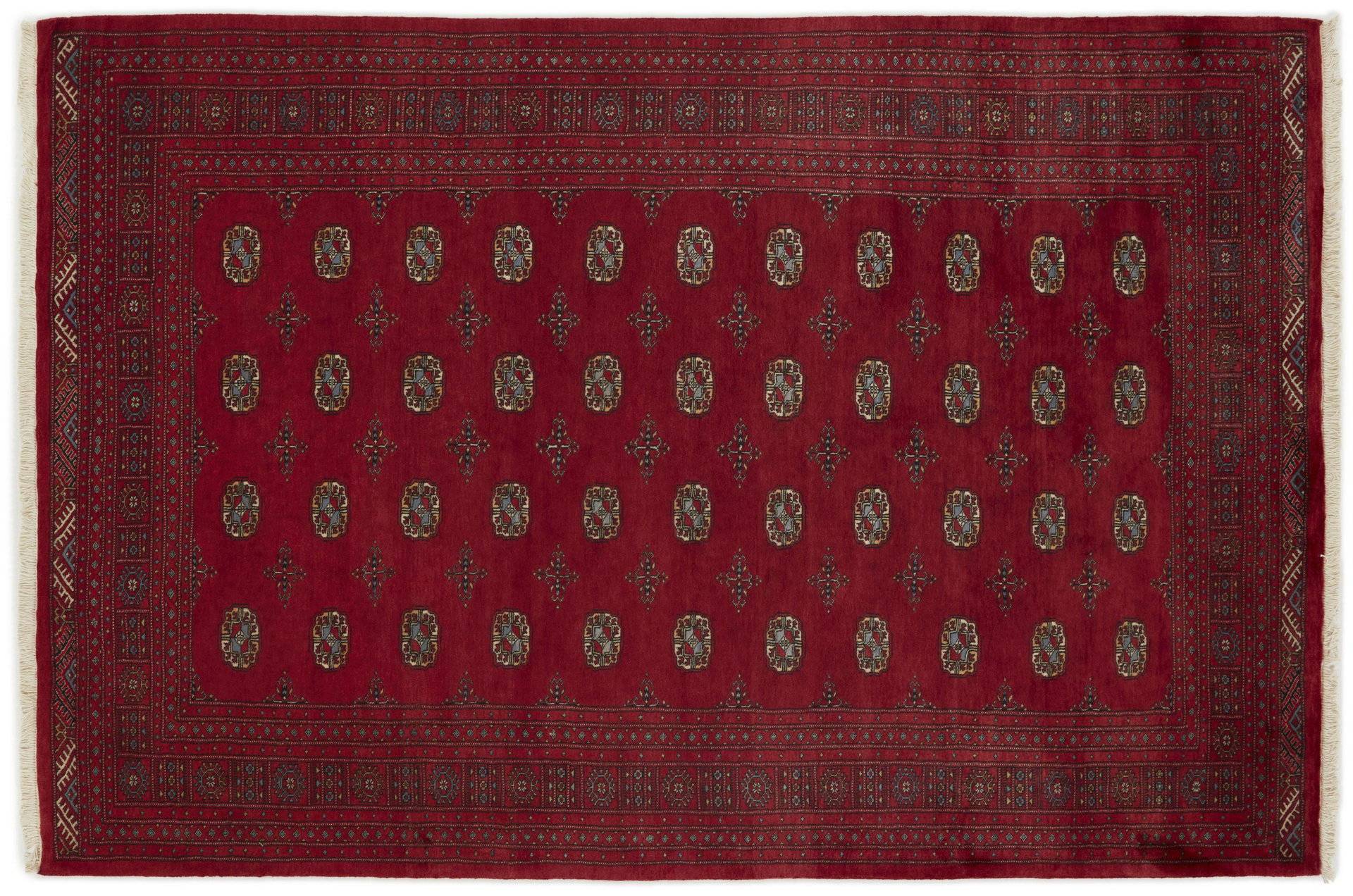 Pakistan 3 Ply