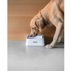 Doksie Auto A2 - Smart spildfri vandskål til hund