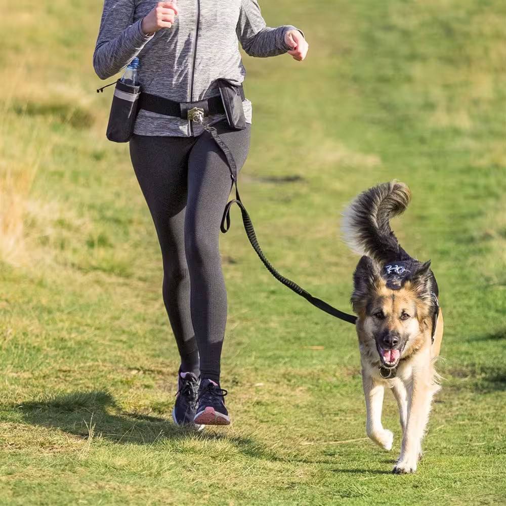 Trixie Handsfreebälte med expander – Löparkoppel för joggning och powerwalk