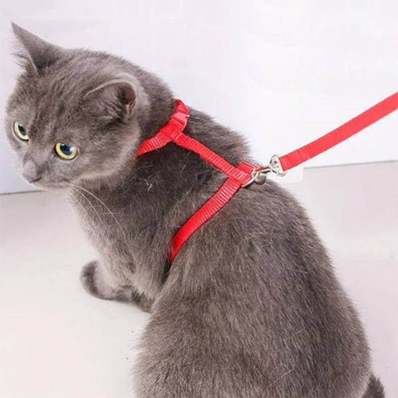Justerbar kattsele Nylonrem Halsband med koppel Rymningssäker Kattungehalsband för promenader Litet husdjur Kanin Lätt sele violett
