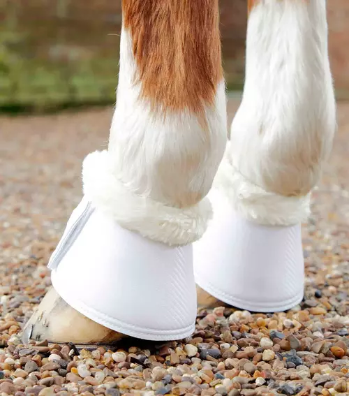 Premier Equine Carbon Tech Techno Wool klokker