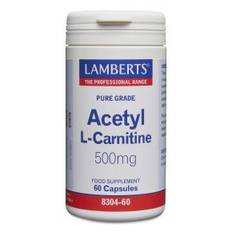 Acetyl-L-karnitin 500mg (60 kaplsar) SLUTREA!