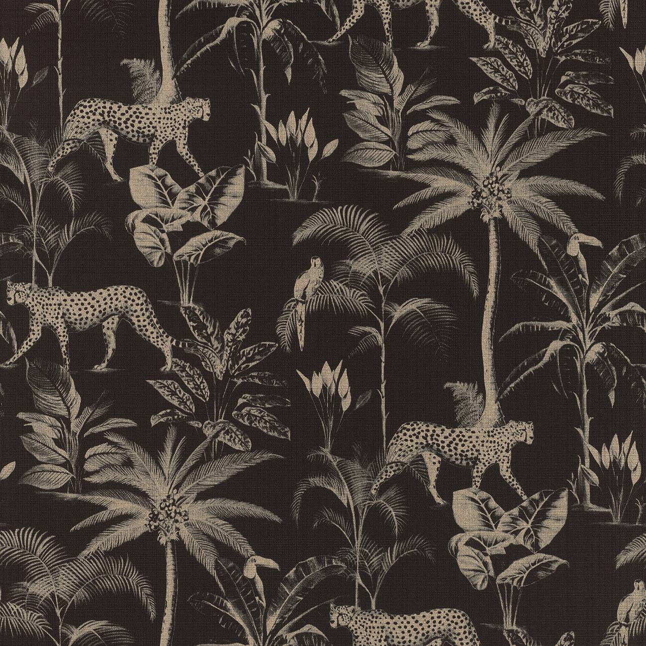 Jungle, Studio 24 vol. 1