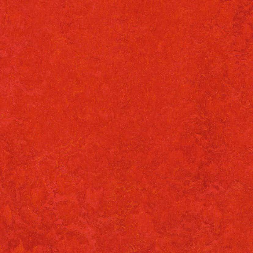Linoleumgolv Forbo Marmoleum Click Scarlet 30x30cm med Klicksystem
