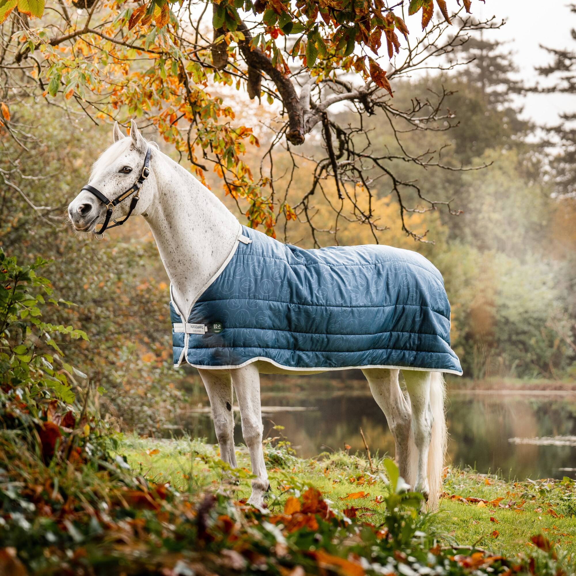 Horseware Eco Liner 100g - Teal, Horseware