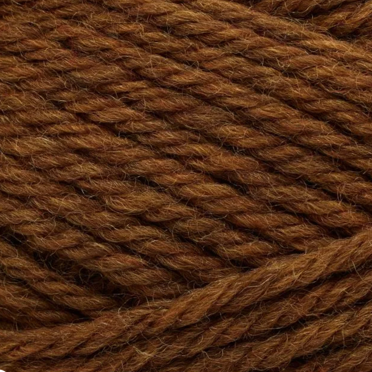 Peruvian Highland Wool │ Filcolana - 827 Dijon (me)