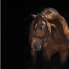 Rambo Micklem Grimma - Brun, Horseware
