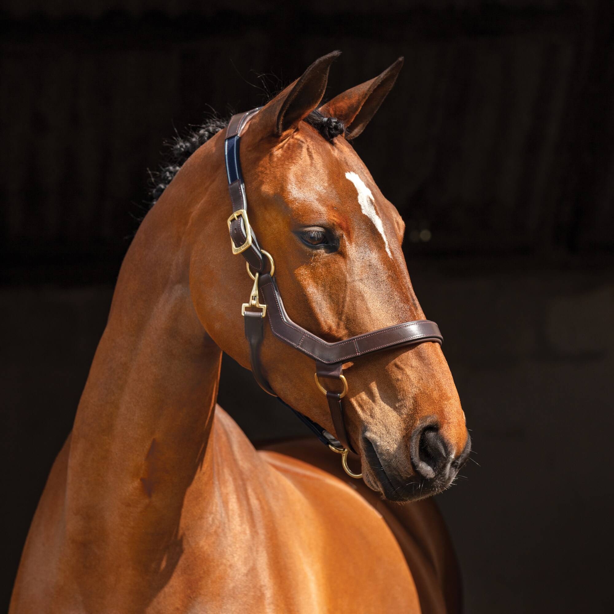 Rambo Micklem Grimma - Brun, Horseware