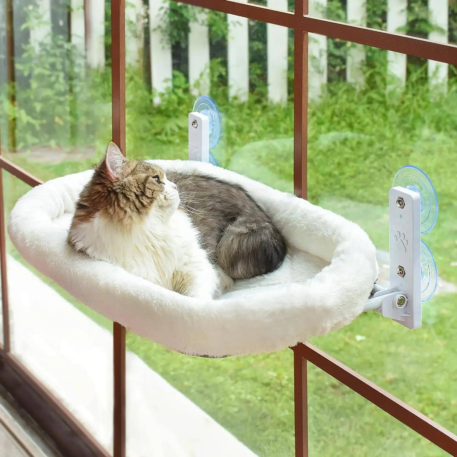 Katt Hängmatta Fönster Habitat Katt Solbad Glas Hängande Sugkopp Balkong Husdjursbo Husdjurssäng
