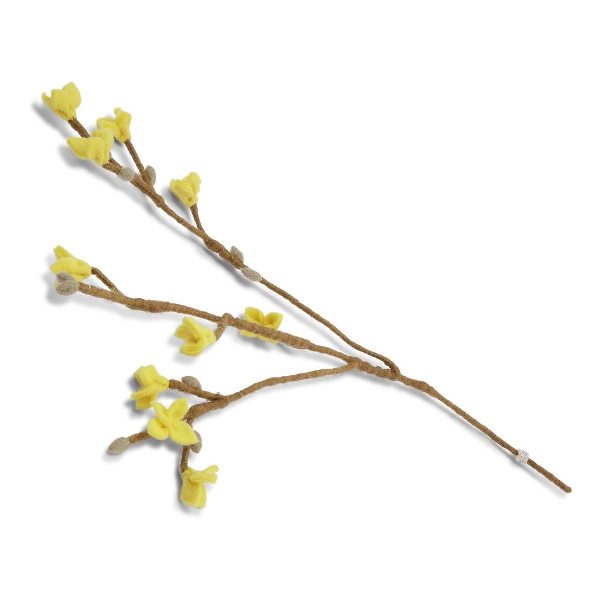 Forsythia filtgren, Én Gry & Sif.