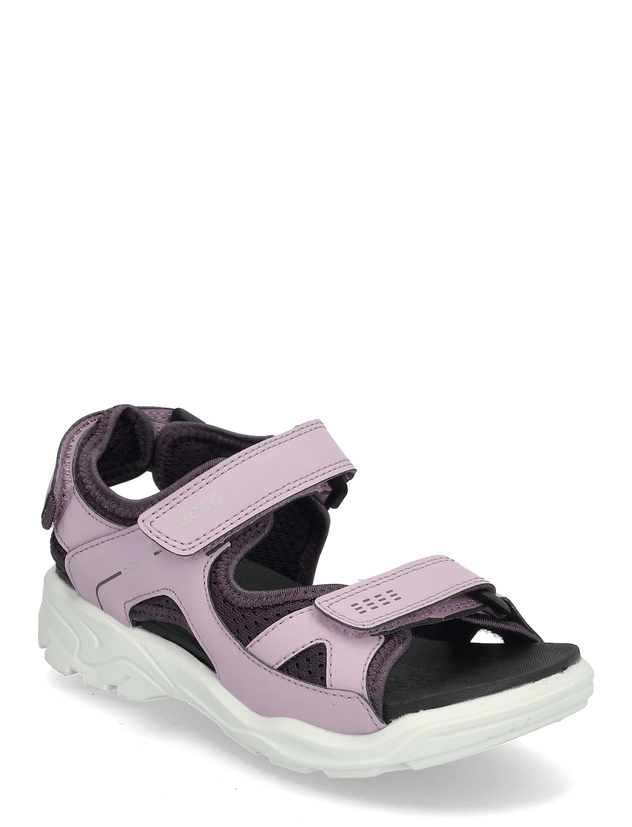 ECCO Biom Raft | Purple | 24