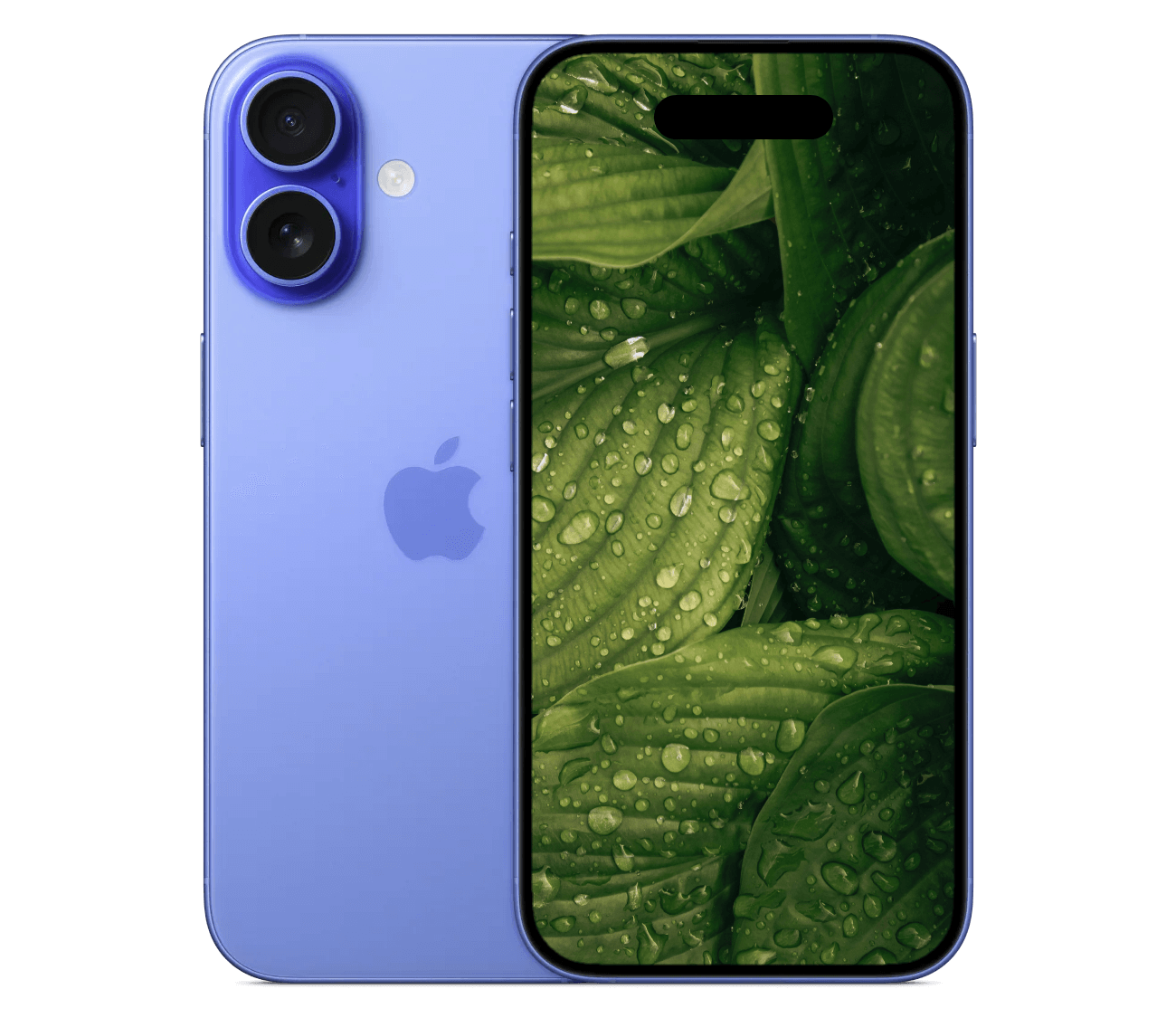 iPhone 16
