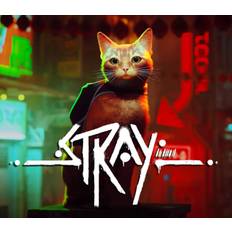 Stray PS5 Account