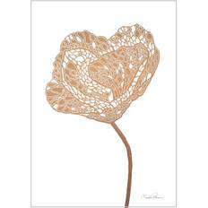 Monika Petersen Poppy No. 2 A5