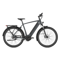 Gazelle Ultimate C5 H 28" S5 (Anthracite grey)