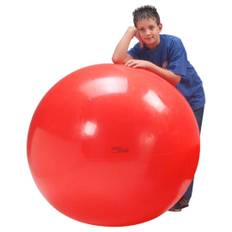 Gymnic Physioball Ø 120 cm.