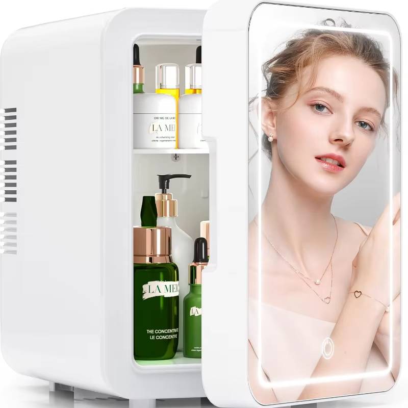 4L Mini Makeup Fridge WIth LED Light Mirror Portable Cosmetic Storage Refrigerator Keep fresh Cooler for Home Car Dual Use