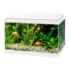 Akvarium Ciano 20 vit, 17 liter