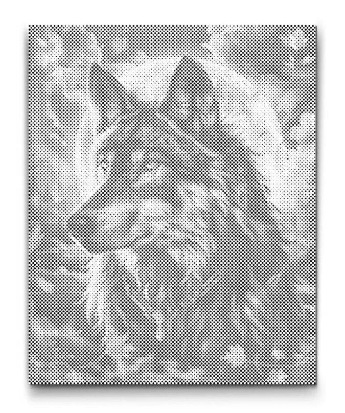 VARG I MÅNLJUS | PRICKMÅLNING - 60x80 cm / Premium Inramad (Klar att hänga) / Svart