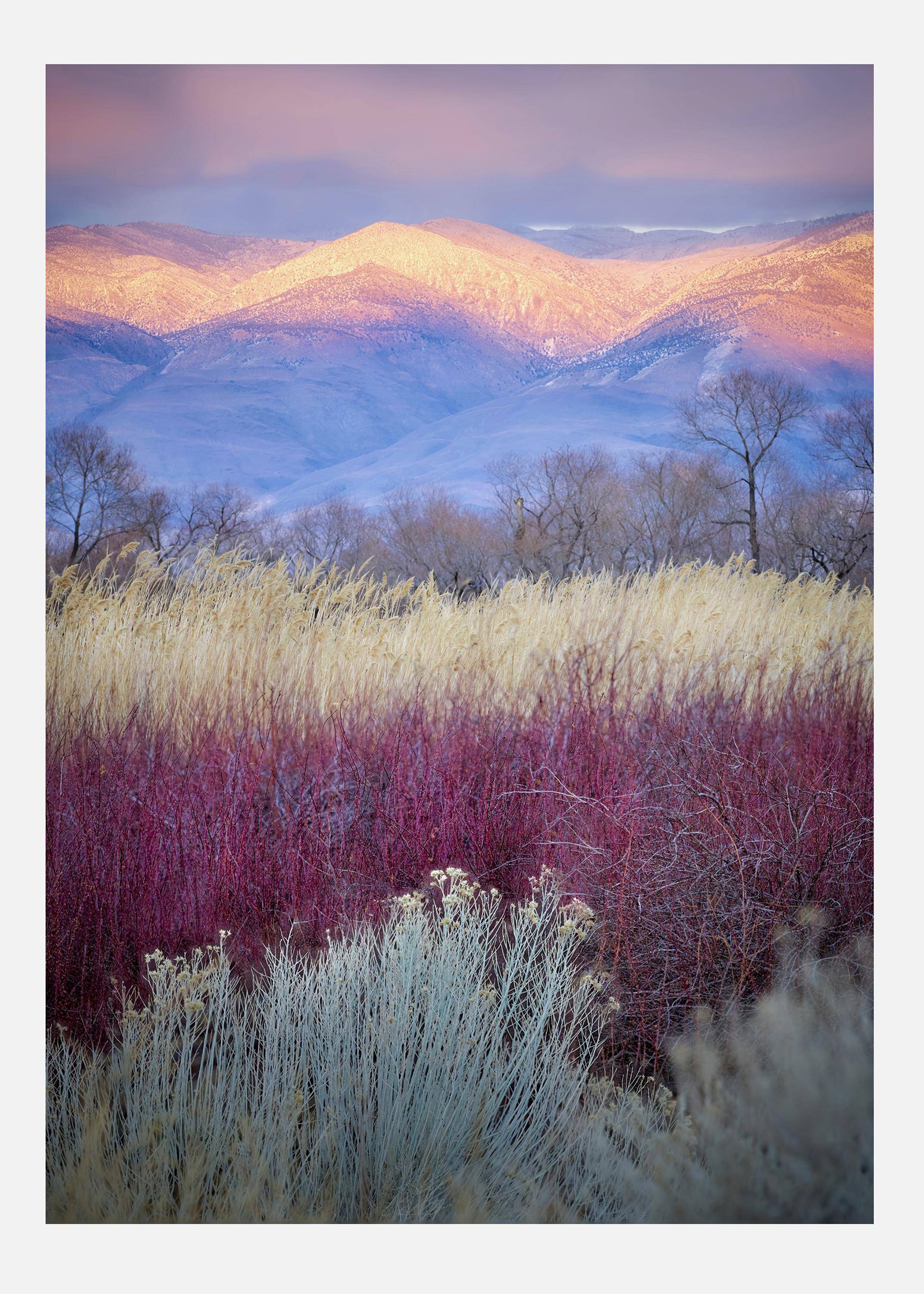 Field Layers Canvastavla (50x70 cm)