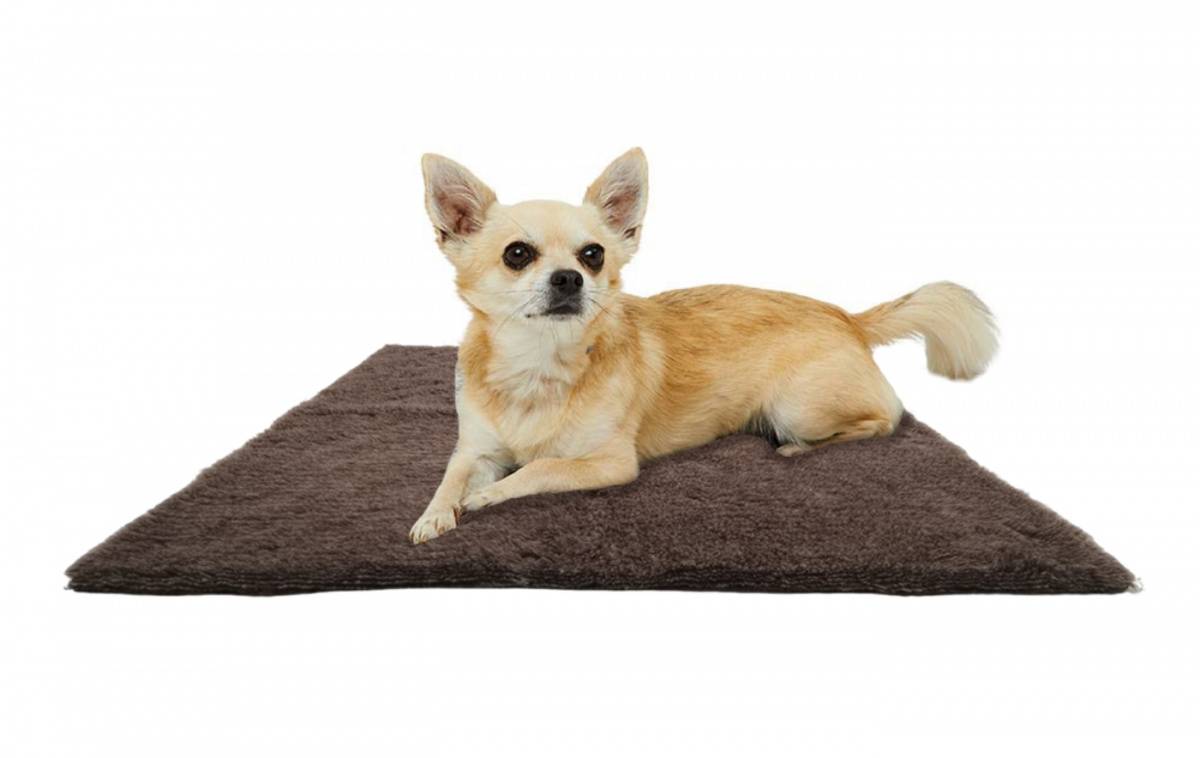 Canis Vetbed L 100x150cm