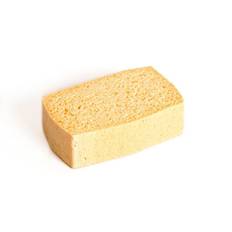 Cellulosasvamp