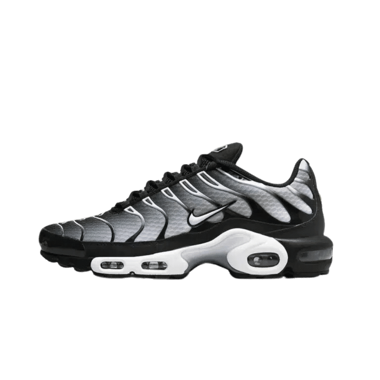 Nike TN Air Max Plus Black Silver White - 46