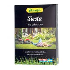 Gräsfrö Siesta, 1 kg