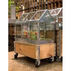 Maxi væksthus <br><br> L62,2 x B32,2 x H50 cm <br><br> AFHENTNINGSVARE