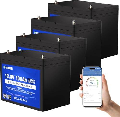 DCHOUSE 4 pack LiFePO4 batterier 12V 100Ah med Bluetooth köldskydd Grupp 31 Deep Cycle upp till 15000 cykler BMS 100A perfekt för fiskebåt motorer marina applikationer och båtar