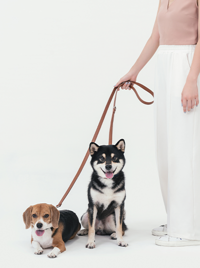 Amber Orange Multi-Function Dog Leash | 5-Way Hands-Free Waterproof | PEHOM