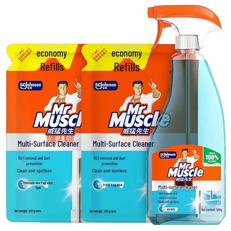 Mr Muscle Glas- och Fönsterrengöringsset gray