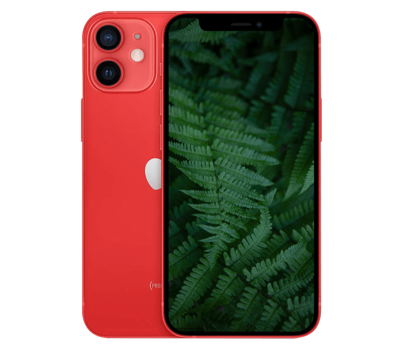 iPhone 12 Mini