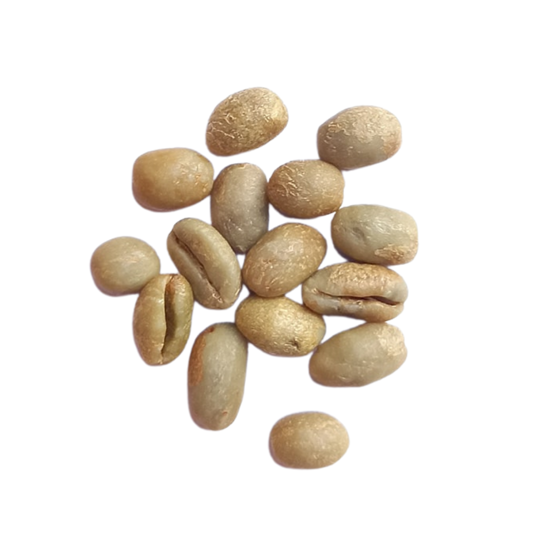 Månedens Kaffe - Muka Kivu - rå-5 kg i papirspose