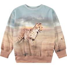 Molo Mattis Stl. 6 år / 116 cm pojkar - Sweatshirts Från Magasin - Brun (6 år / 116 cm)