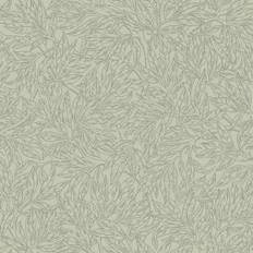 Salix Alba - 7787