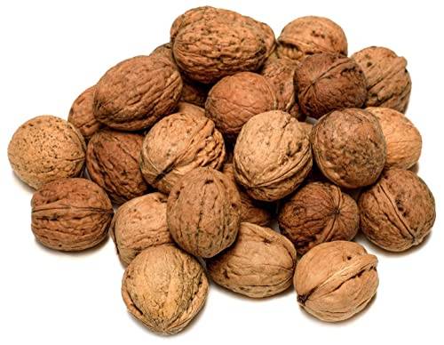 IGART FOOD & WOOD Valnötter med Skal Polska Stora Naturliga från Årets Skörd Rika på Omega-3 Obehandlade Nötter för Bakning och Matlagning Hälsosamt Snack för en Balanserad Kost, 25kg
