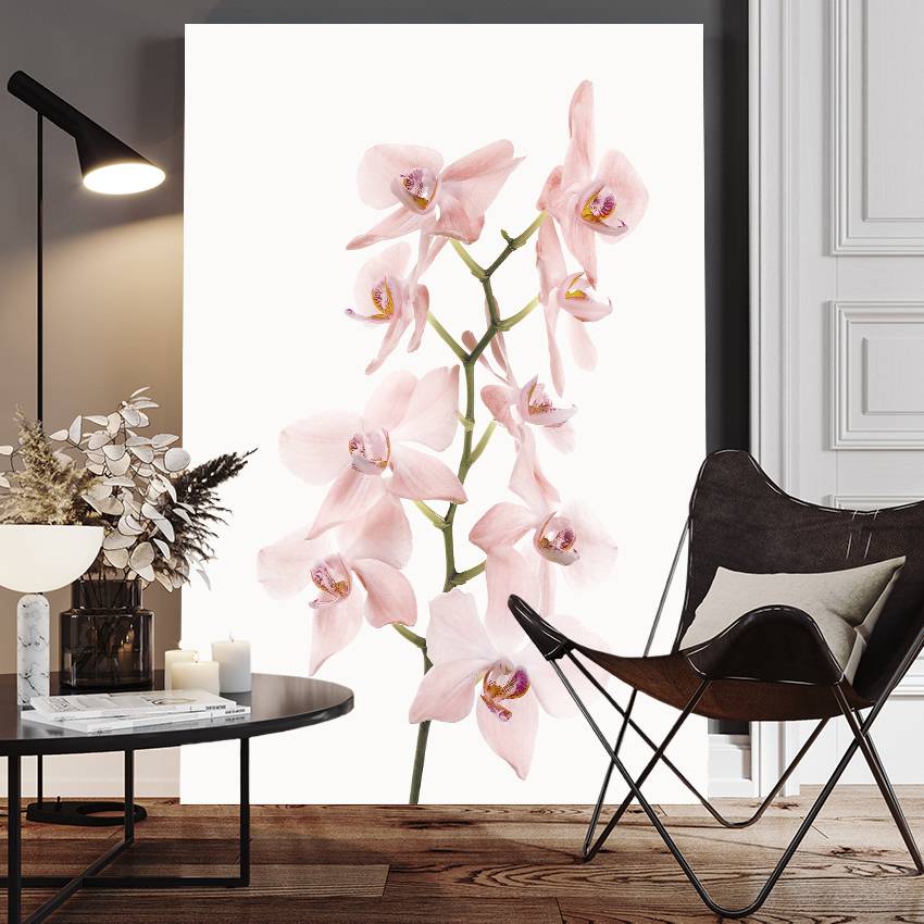Canvastavla - Pink Orchids