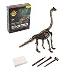 Dinosaurie leksak utgrävningssats, dinosaurier skelett leksak dinosaurie dig Kits Dinosaur modell arkeologisk utgrävning Fossil montera modell gåva för barn, Brachiosaurus