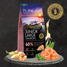 Profine Junior Large Salmon 12 kg