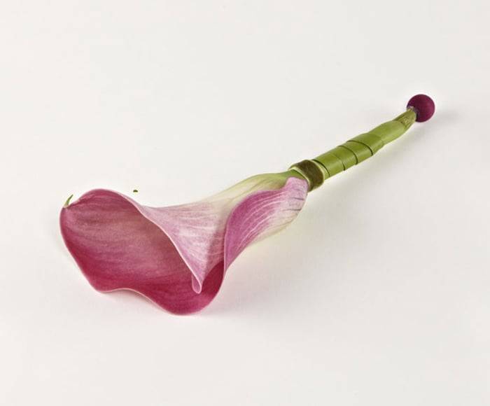Knaphulsblomst med calla