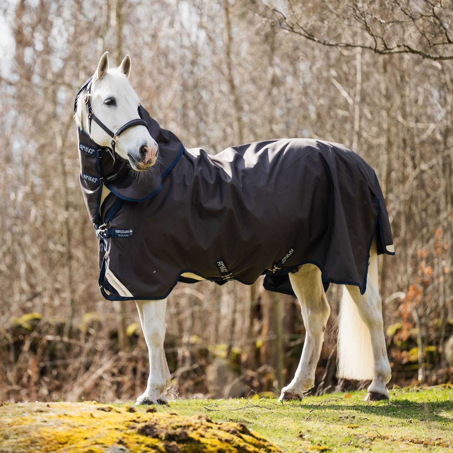 Regntäcke Amigo 1200D Turnout 30g Horseware® Brun