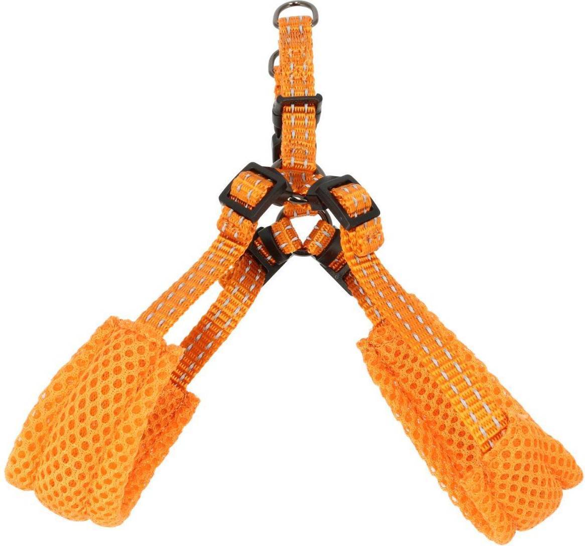 Step-in Hundsele Iris Orange (XS/S)