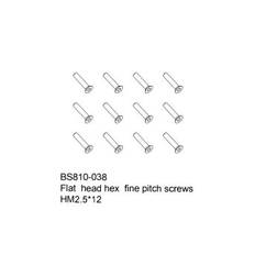 Flat head hex fine pitch screws HM2.5x12