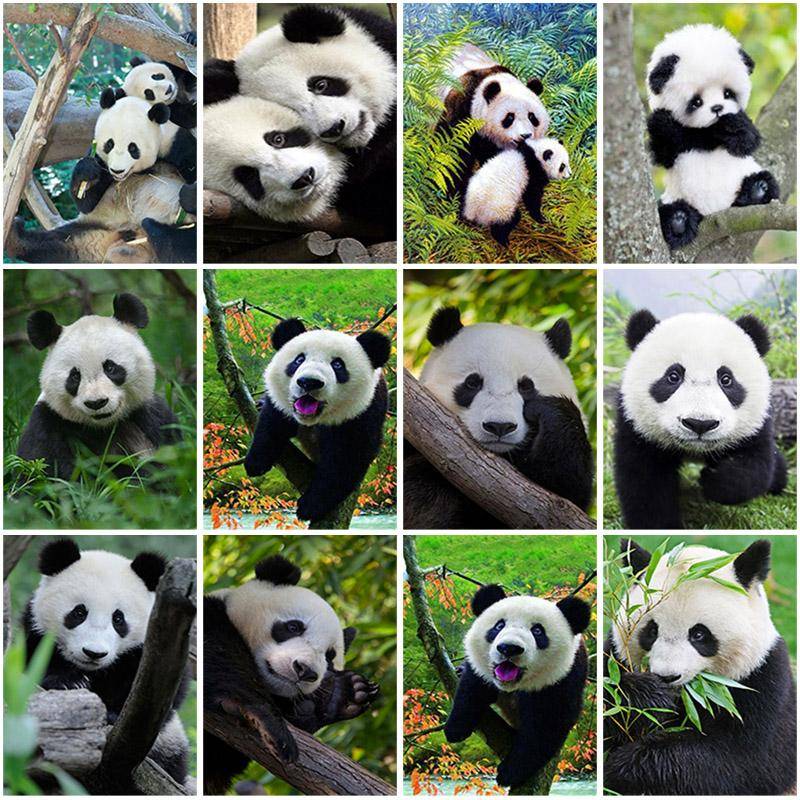 Gör-det-själv Panda 5D diamantmålning hel rund borr Djur Diamantbroderi korsstygn Mosaiksatser Konst Heminredning
