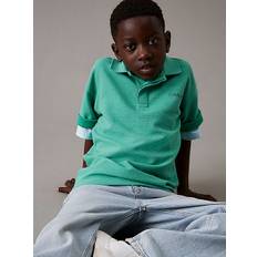 Boxy Ottoman Polo Shirt - Green - 14 years (164 cm)