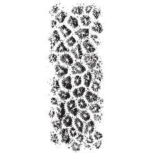 Kaisercraft Texture Clear Stamps 2X5- Coral